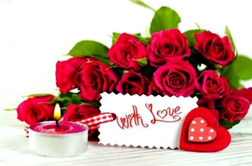 Rose Day Pic