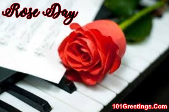 Valentines Week Day 1 Rose Day Images for Friends