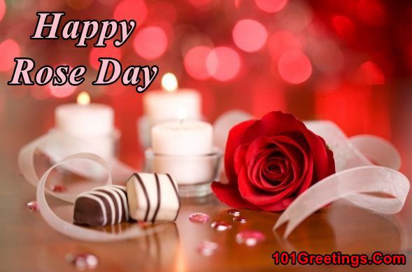 Valentines Week Day 1 Rose Day Images for Girlfriend