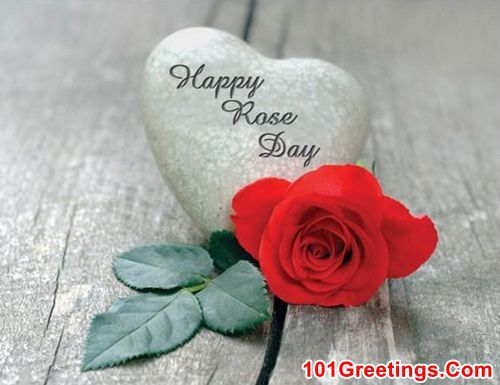 Valentines Week Day 1 Rose Day Images for Girlfriend