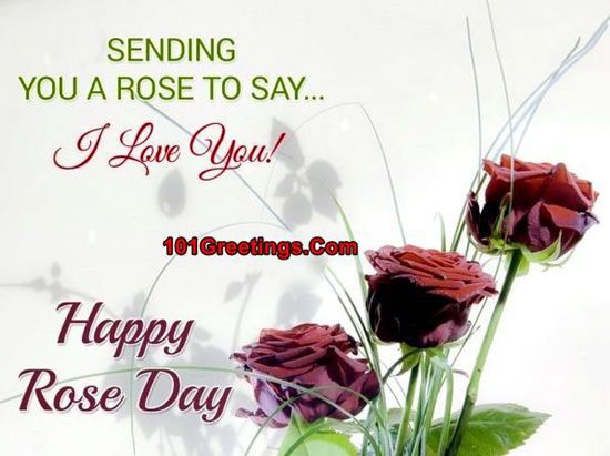 Valentines Week Day 1 Rose Day Images for Lovers