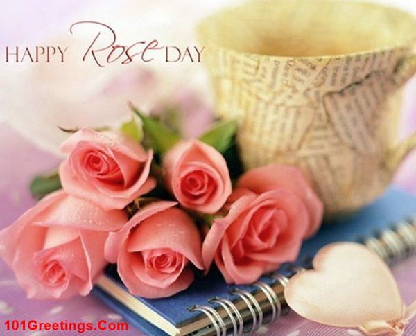 Valentines Week Day 1 Rose Day Images for Lovers
