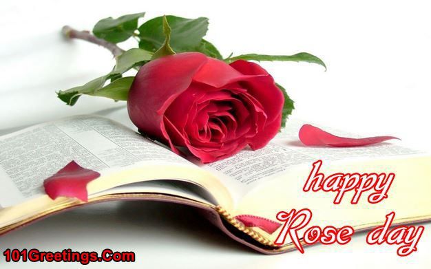 Valentines Week Day 1 Rose Day Images for Lovers