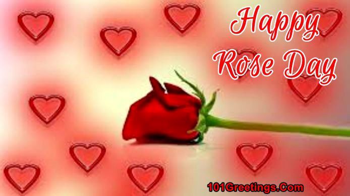 Valentines Week Day 1 Rose Day Images for Lovers