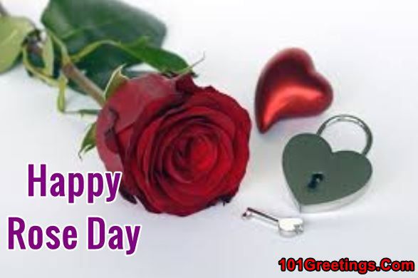 Valentines Week Day 1 Rose Day Images for Wife and Husband