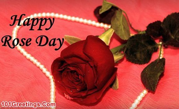 Valentines Week Day 1 Rose Day Images for Wife and Husband