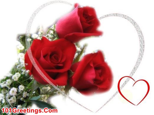 Valentines Week Day 1 Rose Day Images for Wife and Husband