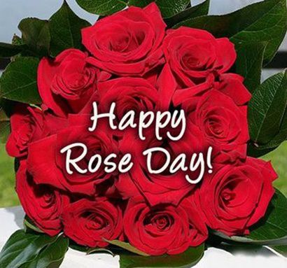 Rose Day Wishes Pic