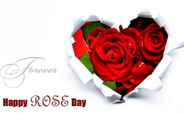 Rose Day Wishing Pic