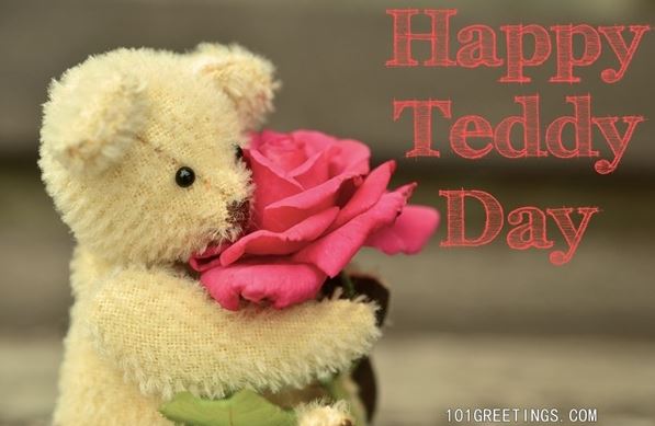 teddy day images for wife